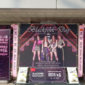 블랙핑크[BLACKPINK 2018 TOUR [IN YOUR AREA] SEOUL X BC CARD]